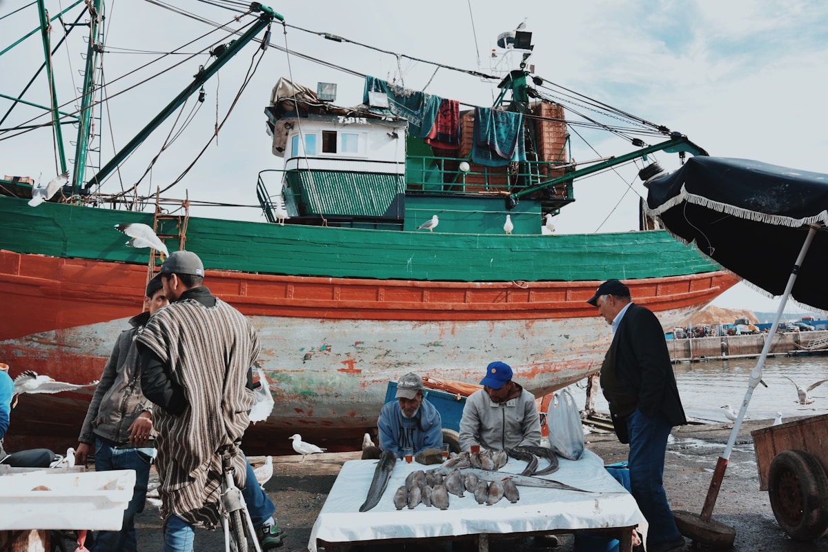 Fishing boats in Essaouira harbour, Morocco