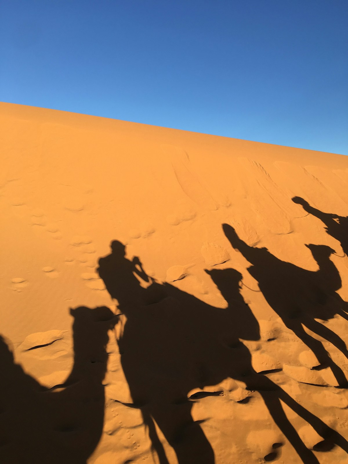 Silhouette of people at sunset on Saharan dunes