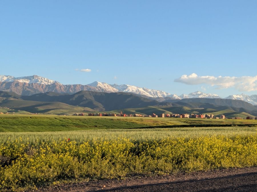 Snow-capped Atlas Mountains rising above green fields in Morocco