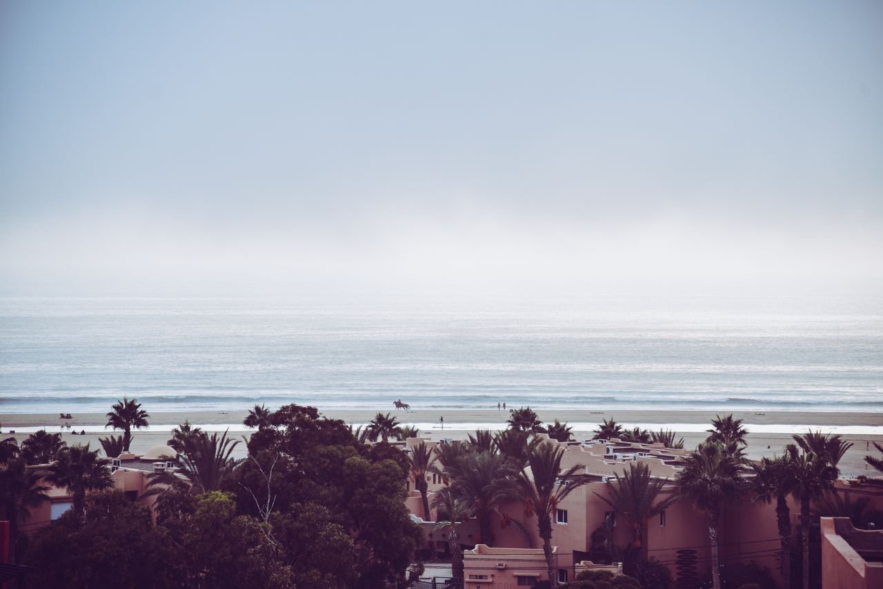 Imi Ouaddar beach north of Agadir, framed by palms and sea haze