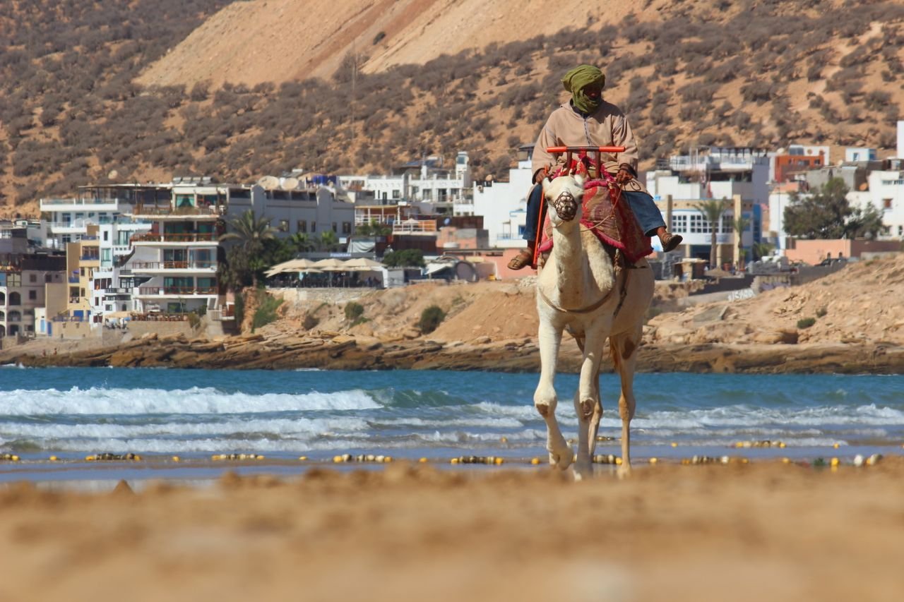 A rider on a camel along the beach at Taghazout