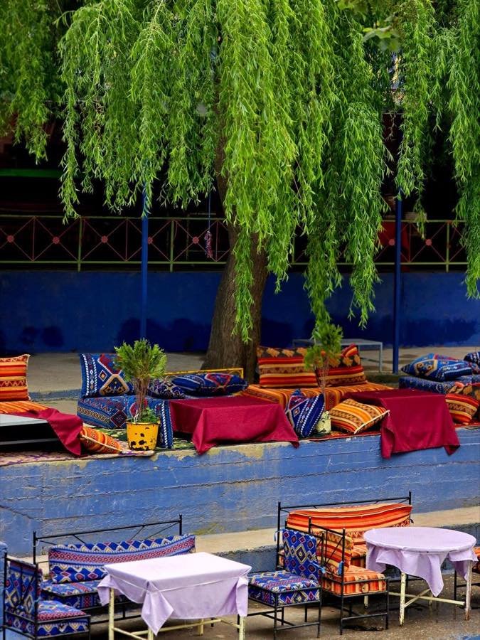 Terraza de café llena de color bajo un sauce, con cojines y manteles