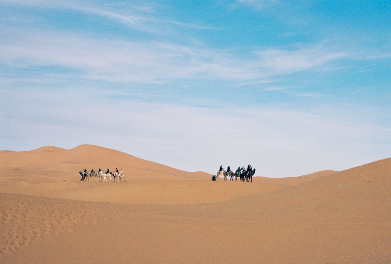 Caravane de dromadaires traversant les dunes en plein jour