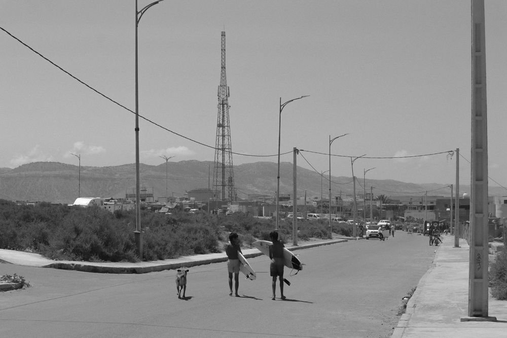 Two surfers and a dog walking down a coastal road with their boards