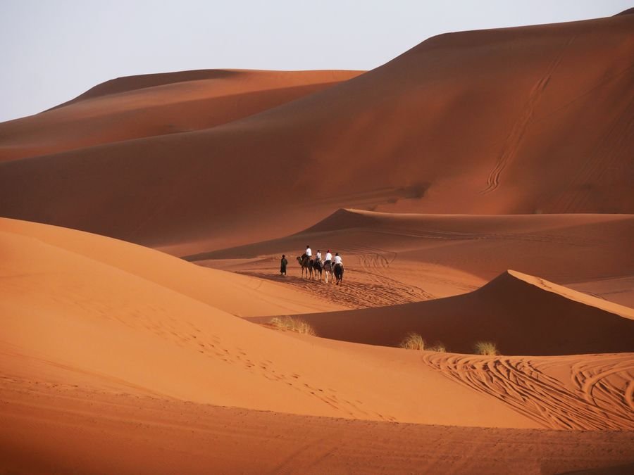 Camel caravan with riders crossing orange Sahara dunes