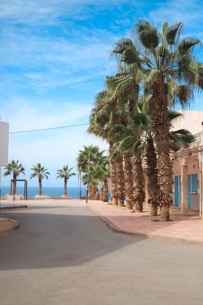 A palm-lined street running down towards the sea