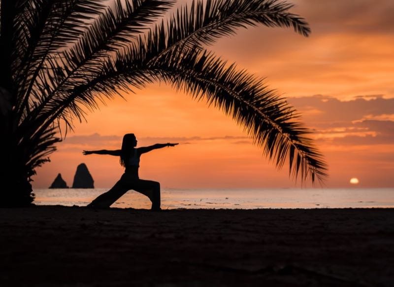Silhouette d'une personne en posture du guerrier sous un palmier au coucher du soleil