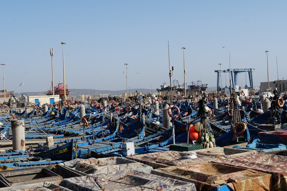 Nombreux bateaux de pêche bleus dans le port d'Essaouira, Maroc