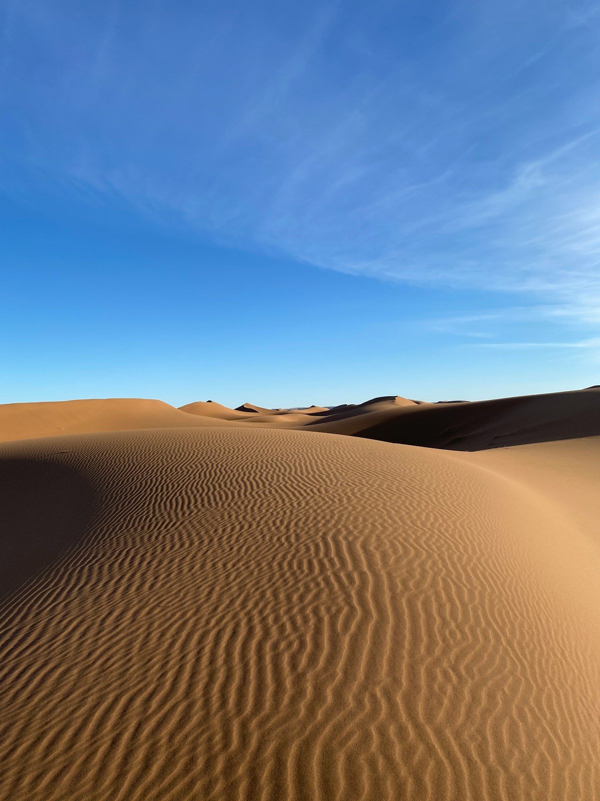 Sand dunes in the Sahara desert, Morocco