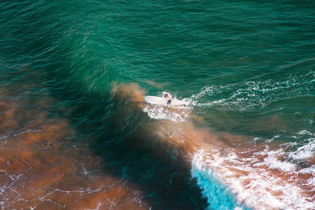 Surfer on a wave at Imsouane, Morocco in April