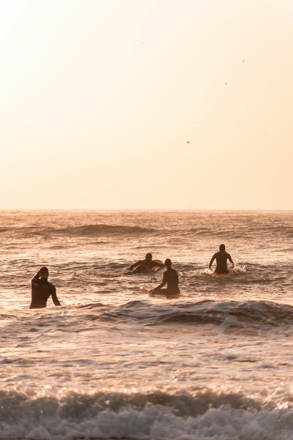 Group surfing at Hash Point near Taghazout, Morocco