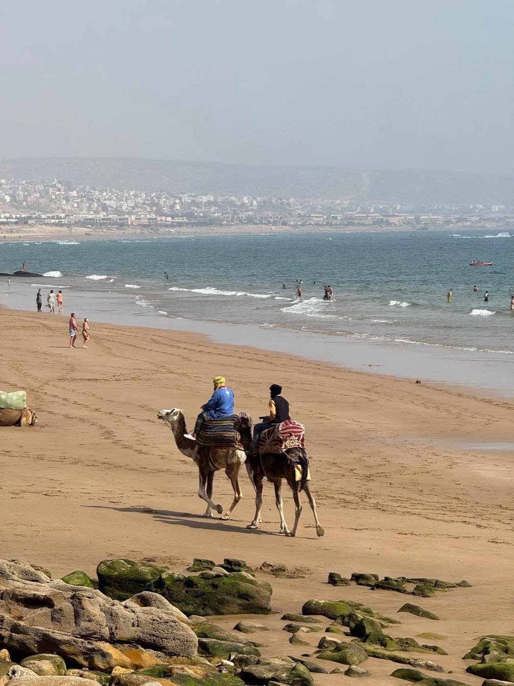 Two camels with riders on a sandy beach on Morocco's Atlantic coast
